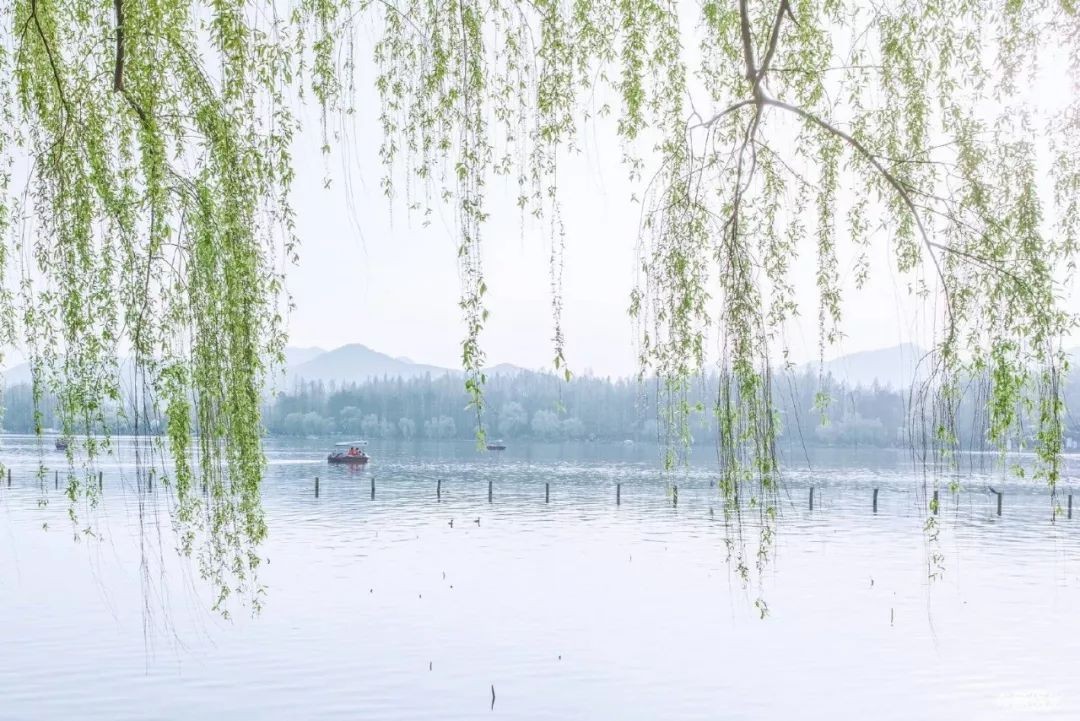 杨朝明：孔子“天下为公”思想的时代意义